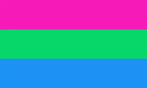 polysexual flag